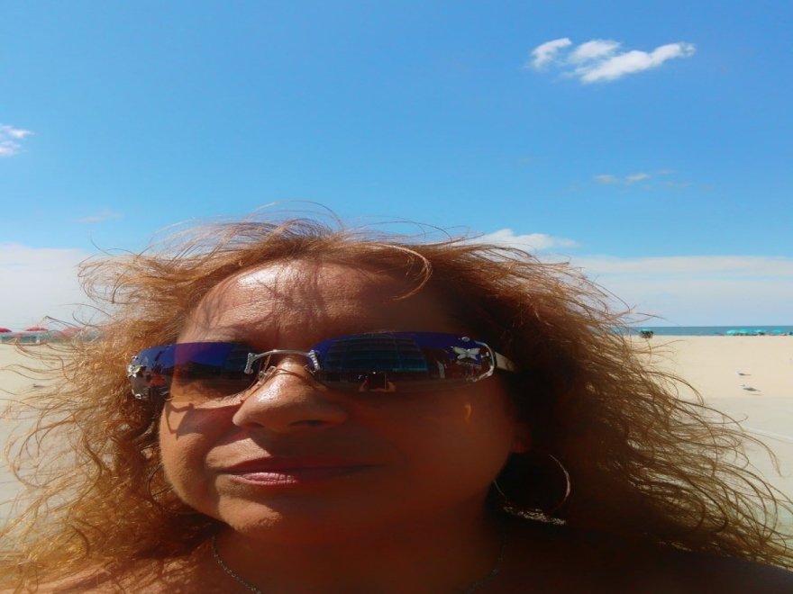 Golden Plate Sub Shop