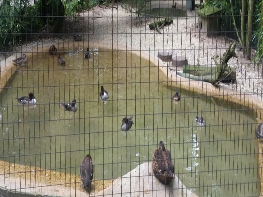 Salisbury Zoological Park