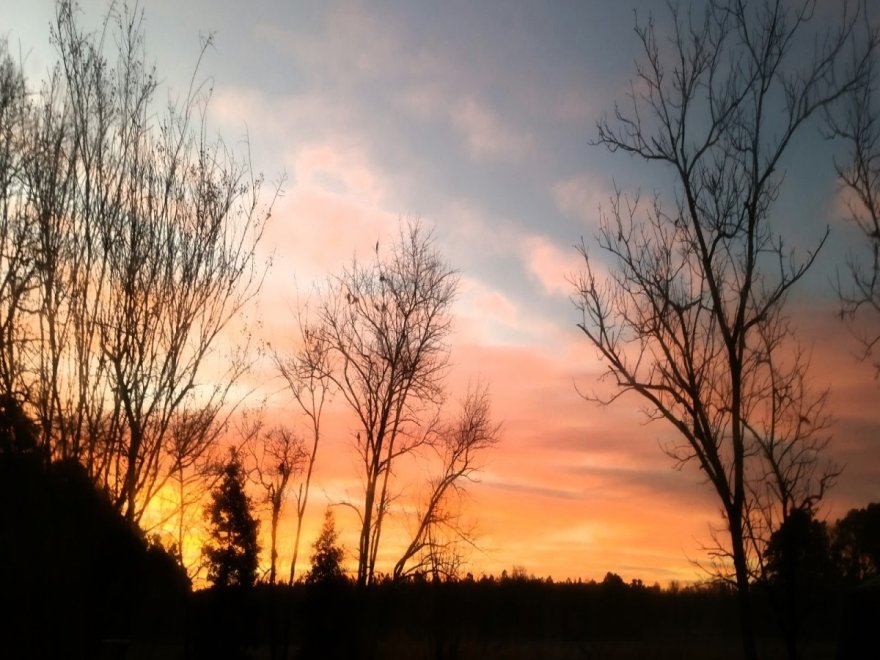 Pocomoke City
