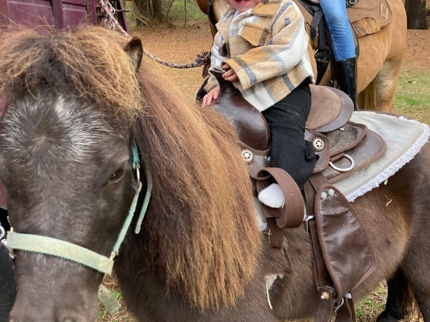 Funny Farm Petting Zoo